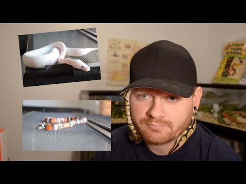 Top Ten Snake Myths Debunked!