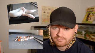 Top Ten Snake Myths Debunked!