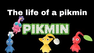 The life of a pikmin (plush)