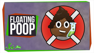 Why Does My Poop Float?