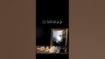 سورة الاخلاص #قرآن #غزة #القرآن_الكريم #لايك #اكسبلور #تيك_توك #fypシ #دويتو #funny #راحة_نفسية