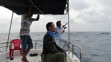 Câu cá Mú đỏ ở Côn Đảo !