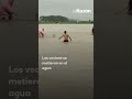 🔴Cobras invaden China