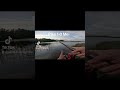 Pike attack