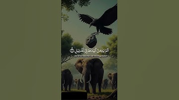 #سورة الفيل #اكسبلور