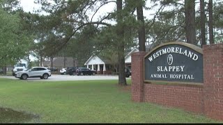 Perry animal hospital provides curbside veterinary care
