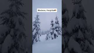 Aici Gasesti Zapada Din Belsug Si Muulta Liniste In Romania Frumoasa