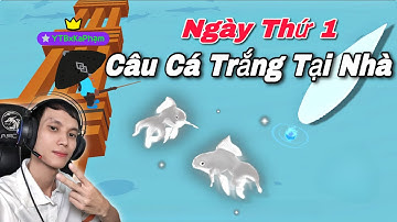 PLAY TOGETHER | Ka Phạm Ngày Thứ 1 Câu Cá Trắng Tại Nhà