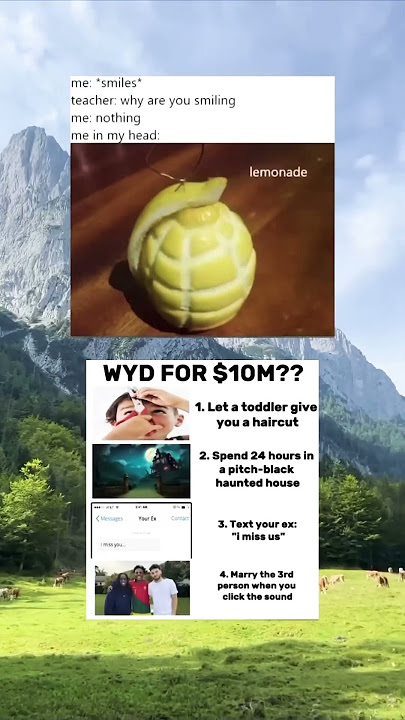 WYD For $10 million dollars💰💸 || #shortsfeed #wyd #memes