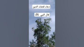 قال رسول الله ﷺ #اذكار #islamicvideo #قران #reels #اكسبلور #لايك#شير