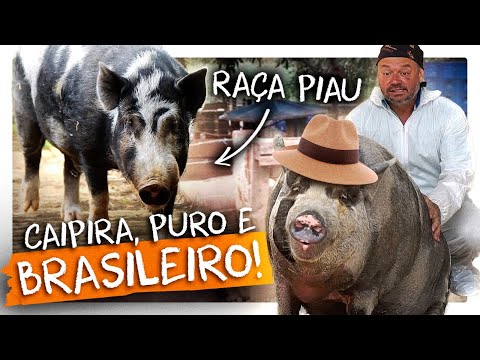 PIAU, UMA RAÇA PURA MUITO RARA! | RICHARD RASMUSSEN