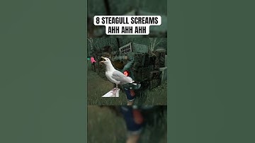 Annoying Everyone With Steve #dbd #deadbydaylight #stevegull #gaming #dbdshorts #dbdmeme