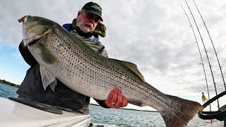 Shocking Catch of a Lifetime! Huge Fish Ate Tiny Lure!