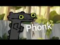 Toothless Dancing Phonk Meme