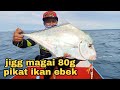 jig Magai 80g Berjaya Memikat ikan ebek 🥰 #fishing #jigging #lightjigging