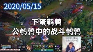 东北大鹌鹑0515P7无限提莫：下蛋鹌鹑，公鹌鹑中的战斗鹌鹑