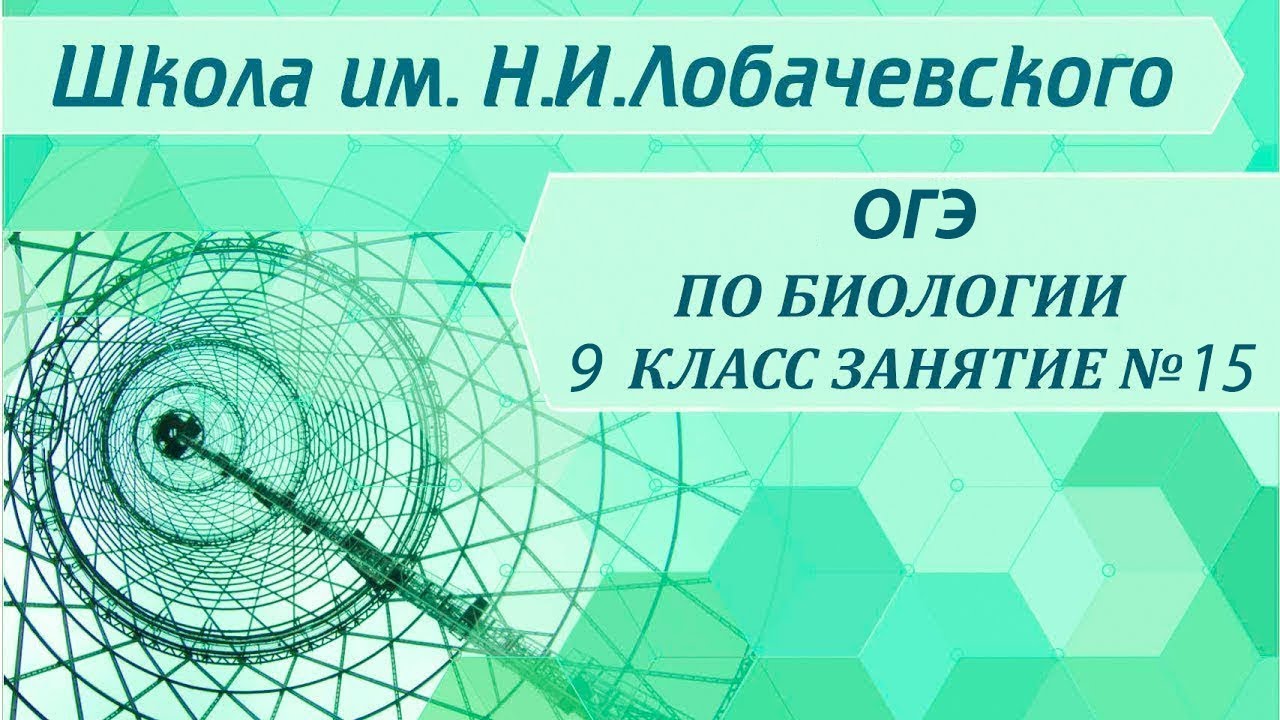 ⁣ОГЭ по биологии 9 класс.  Занятие 15. Царство растения. Отдел папоротникообразные .