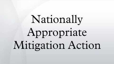 Nationally Appropriate Mitigation Action