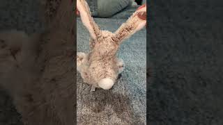 Most Gifted Easter Gift Ever ! #1bestseller #easter #easterbunny