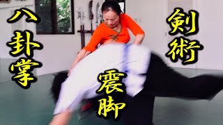 "Bāguázhǎng" and amazing Kung-fu techniques!【Song-Li】With various subtitles.