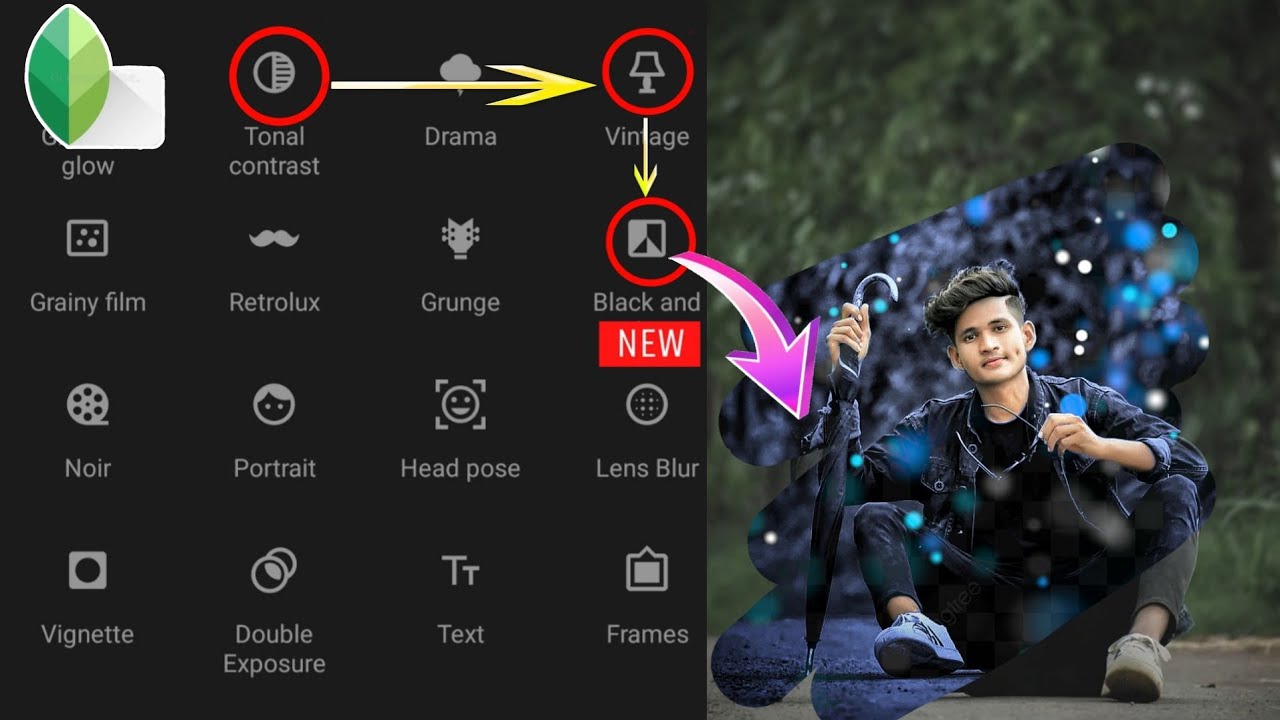 Unlock the Power of Darkness Transform Your Photos with Snapseed