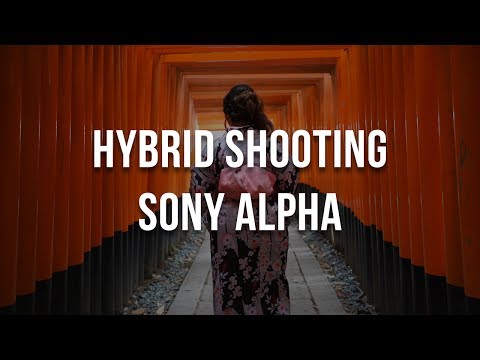 Hybrid Shooting with Sony Alpha Overview - a9 a7S II a7R II a6500 a6300
