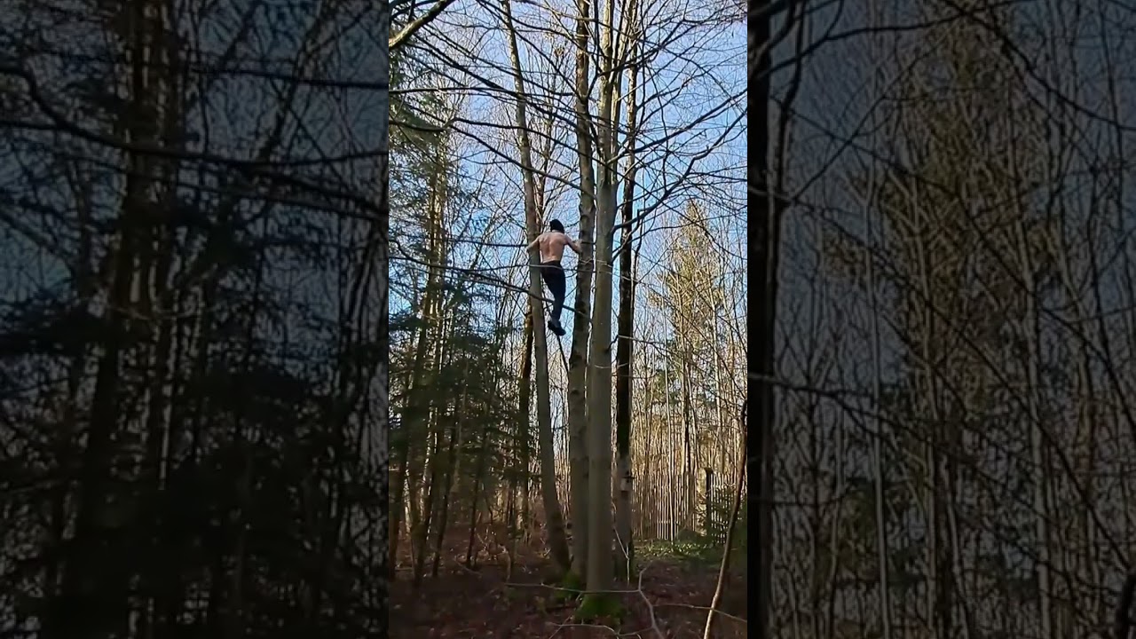 🌳One Of The Craziest Tree Free Climbers🌲