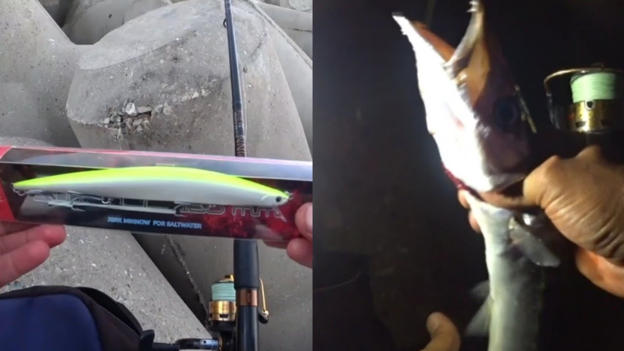 صيد #الباراكودا المفترسة بي طعم إستناعي فتاك في الليل#fishing #moroco #mdiq #pêche #المضيق