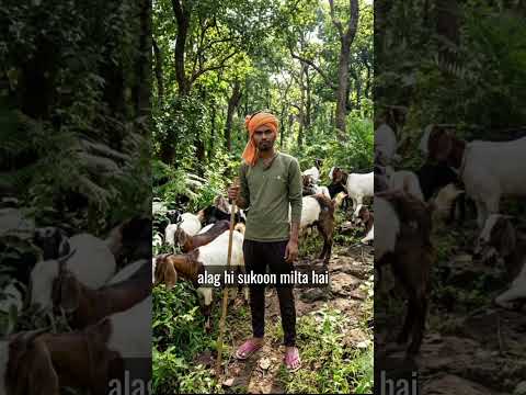 गांव का किसान 🐘👌 #ytcreator #videos #reelsindia #viralshorts #shortshorts #socialmedia #ytstudio