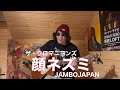 顔ネズミ(コード付)/ザ・クロマニヨンズ 弾き語り
