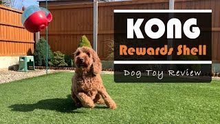 kong rewards shell large