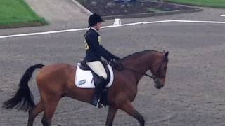 Precious Aston Le Walls Intermediate Dressage (115) 11 May 16