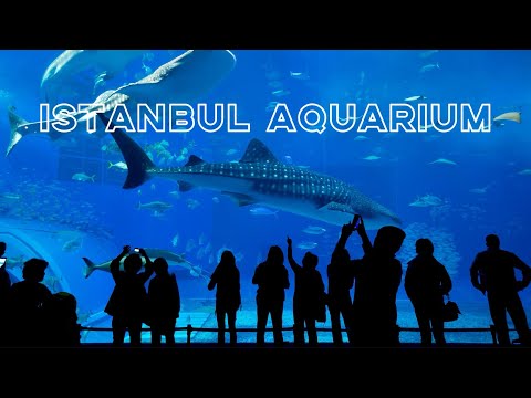 Istanbul Akvaryum Florya (Thematic Aquarium Turkey)