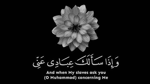حالات واتس اب قران كريم || احمد خضر حالات واتس || قران كريم بصوت جميل جدا❤️✨