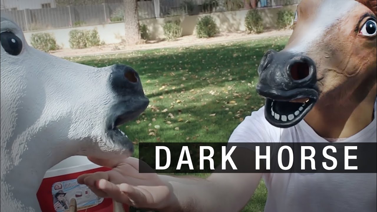 Katy Perry - Dark Horse (Rock cover) Parody