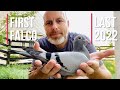 The last 2022 bred racing pigeons they are phenomenal