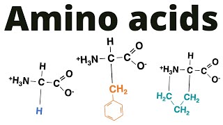 Classification of Amino acids (memorize!)
