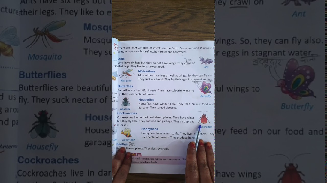 class III Subject-E.V.S Chapter 9 Insects and Worms