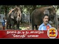 New video by Thanthi TV on YouTube