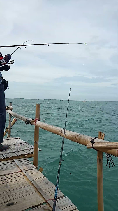 Pejuang joran bengkok🤭#shortvideos #mancing #mancingbagan