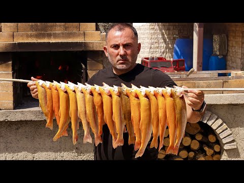 Video: Gling riba i njeno stanište