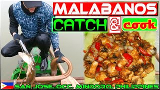 EP100 - Malabanos Catch 'n Cook | Harabas Anniversary Hunt | Occ. Mindoro EP100 - Malabanos Catch 'n Cook | Harabas Anniversary Hunt | Occ. Mindoro