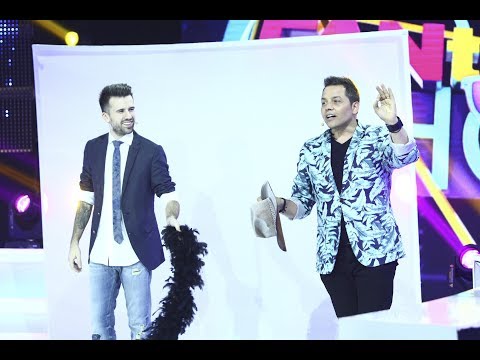 FANtastic show: