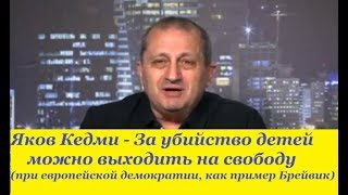 Яков Кедми - Демократия не в состоянии решать проблемы террора