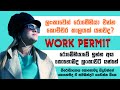 Romania එන්න Work Permit එක එන්න කොච්චර කල් යනවද?[රෙමේනියාවේ ඉන්න අය ලංකාවට එන්නේ කොහෙමද?]