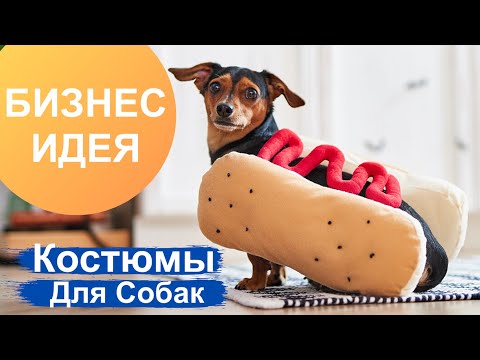 Прикольные костюмы для Собак и Кошек - Бизнес Идеи 2020