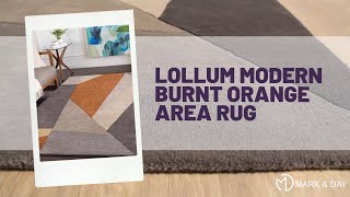 Lollum Modern Burnt Orange Area Rug