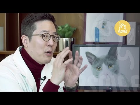 성형외과 의사한테 직접 물어보자! 고양이상 얼굴이 성형 트렌드? 다 이유가 있다!ㅣ인스파이어Q