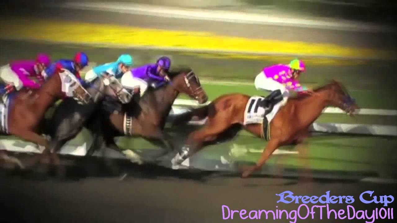The Breeders Cup YouTube