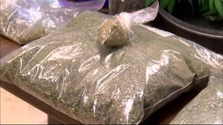 Whitwell Police Uncover Large Marijuana Growing